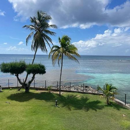 Ti Macloa - Appartement Les Pieds Dans L'Eau แซนต์-อาน ภายนอก รูปภาพ
